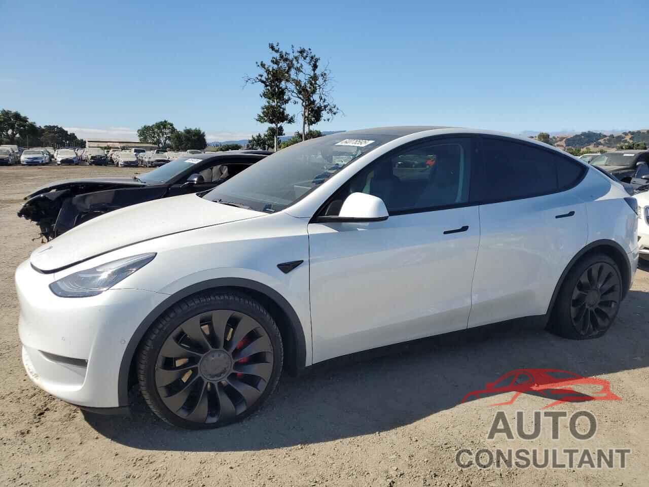 TESLA MODEL Y 2020 - 5YJYGDEF0LF019317
