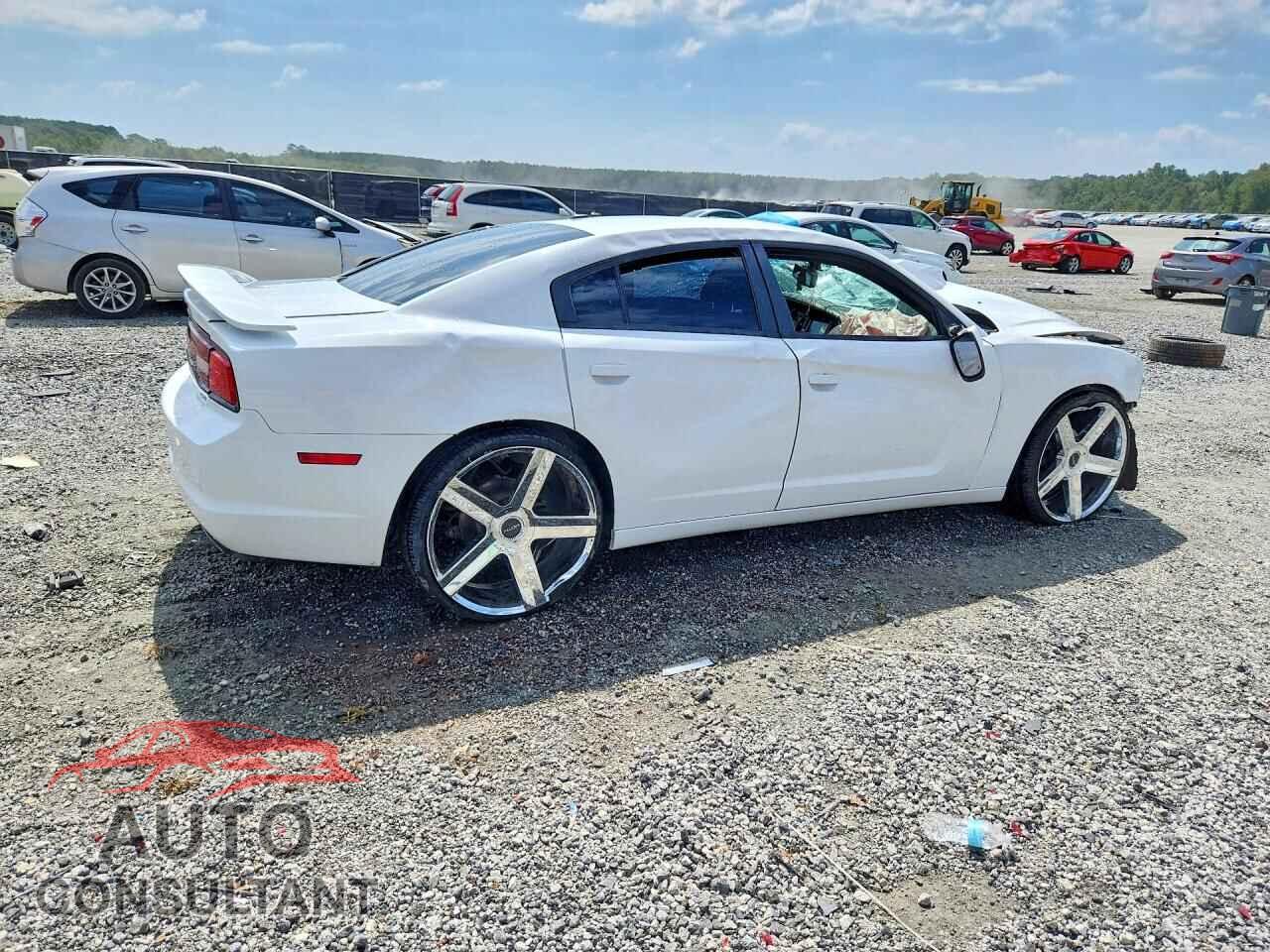 DODGE CHARGER 2014 - 2C3CDXHG1EH122885