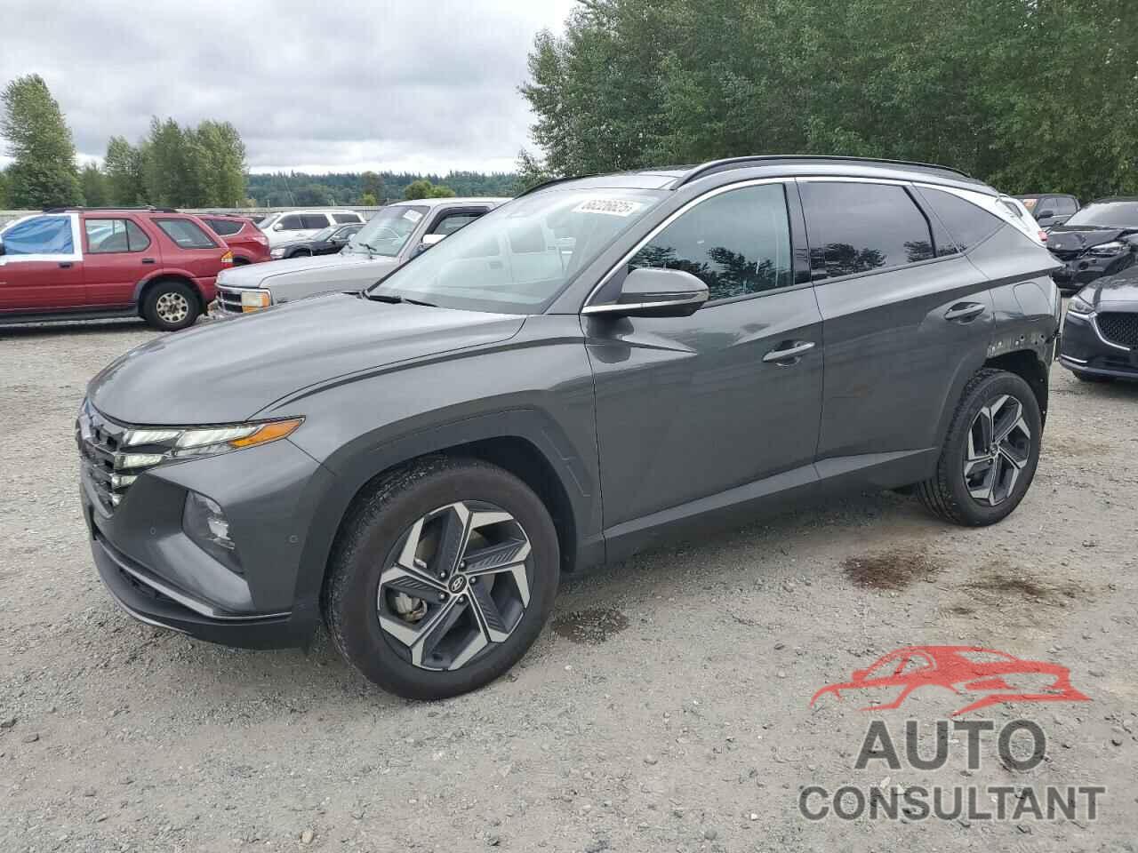 HYUNDAI TUCSON 2024 - KM8JECD11RU219755