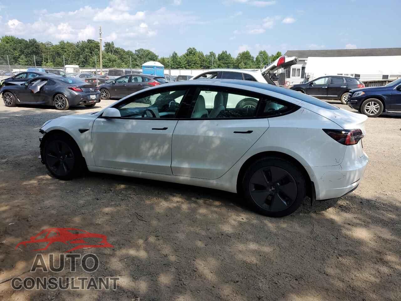 TESLA MODEL 3 2021 - 5YJ3E1EB0MF045803