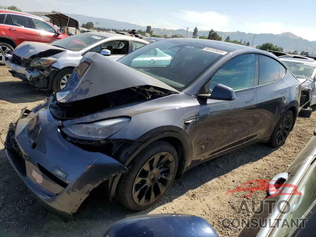 TESLA MODEL Y 2023 - 7SAYGAEE3PF886063