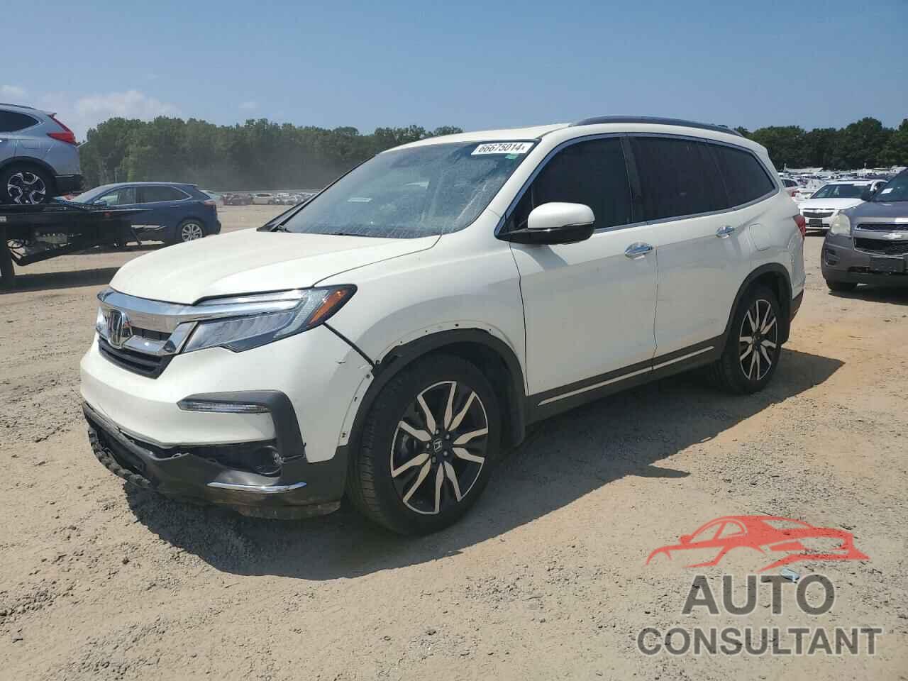 HONDA PILOT 2019 - 5FNYF6H64KB011083