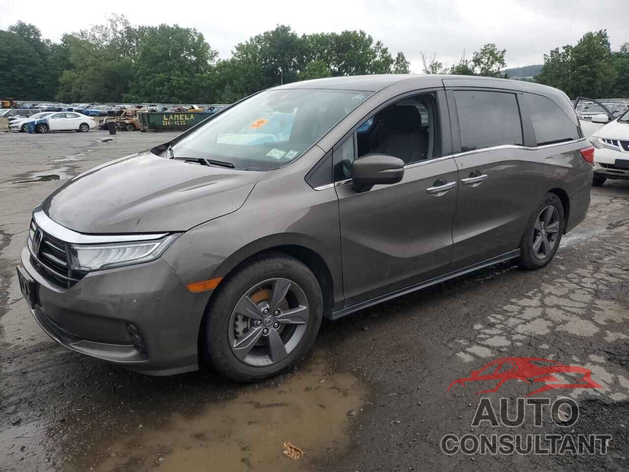 HONDA All Models 2021 - 5FNRL6H53MB021725