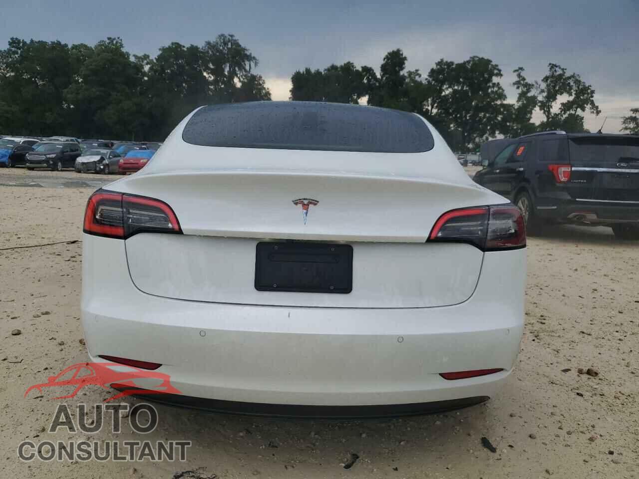 TESLA MODEL 3 2020 - 5YJ3E1EA4LF737035