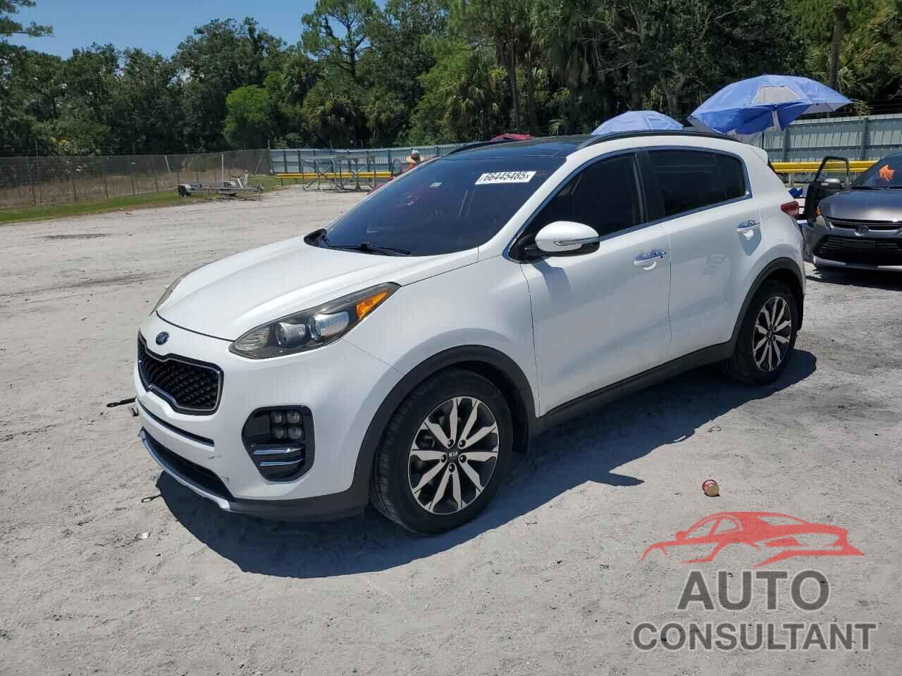 KIA SPORTAGE 2017 - KNDPN3AC2H7048192