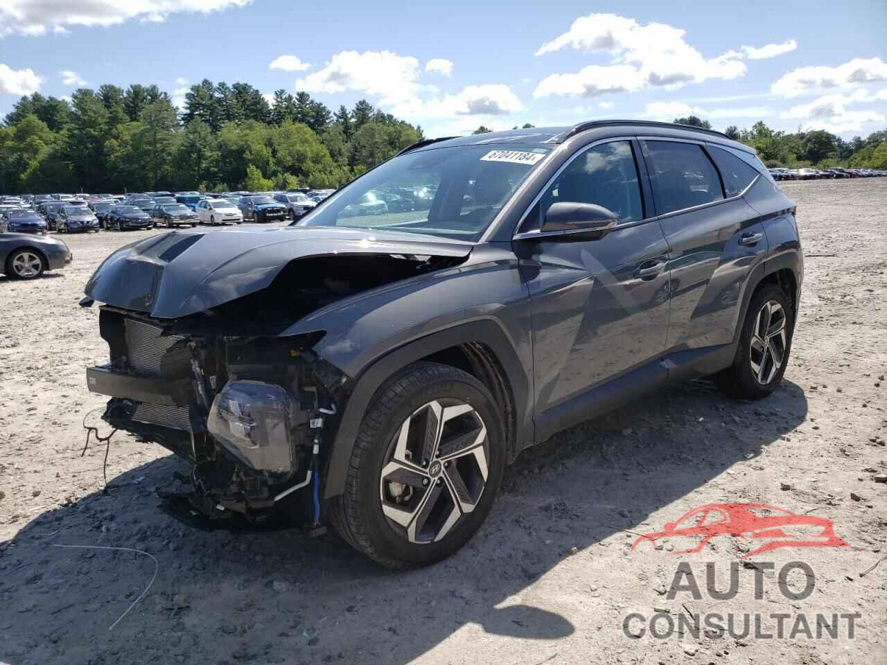 HYUNDAI TUCSON 2024 - 5NMJECDE7RH334181