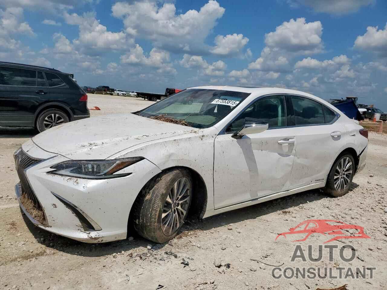 LEXUS ES300 2021 - 58ADA1C18MU002932