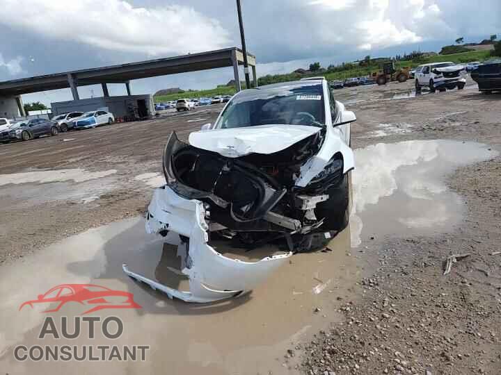 TESLA MODEL Y 2024 - 7SAYGAEE4RF167455