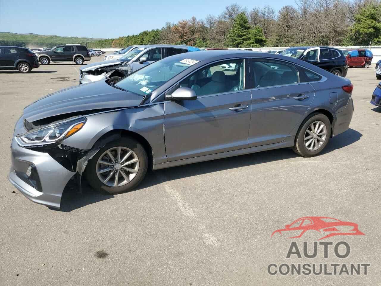 HYUNDAI SONATA 2019 - 5NPE24AF5KH765074