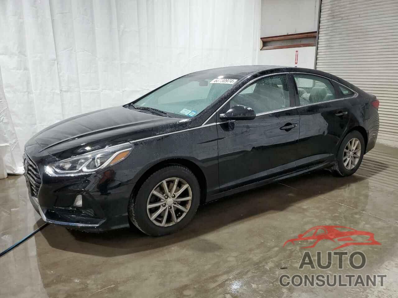 HYUNDAI SONATA 2019 - 5NPE24AF8KH800903