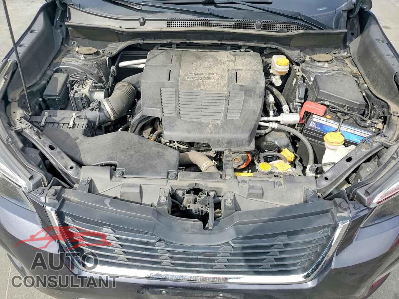 SUBARU FORESTER 2019 - JF2SKAWC2KH452533
