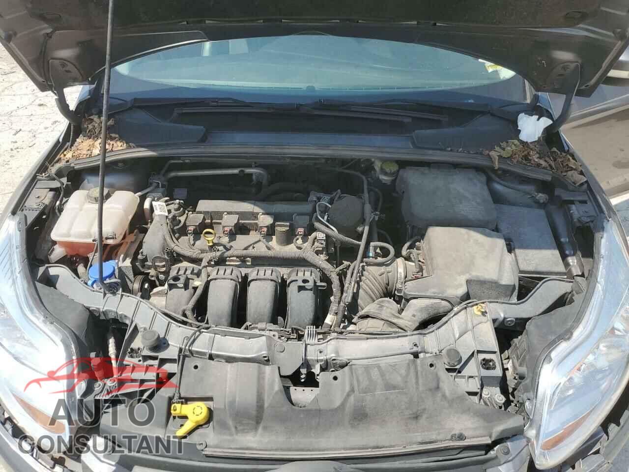 FORD FOCUS 2014 - 1FADP3F21EL452123