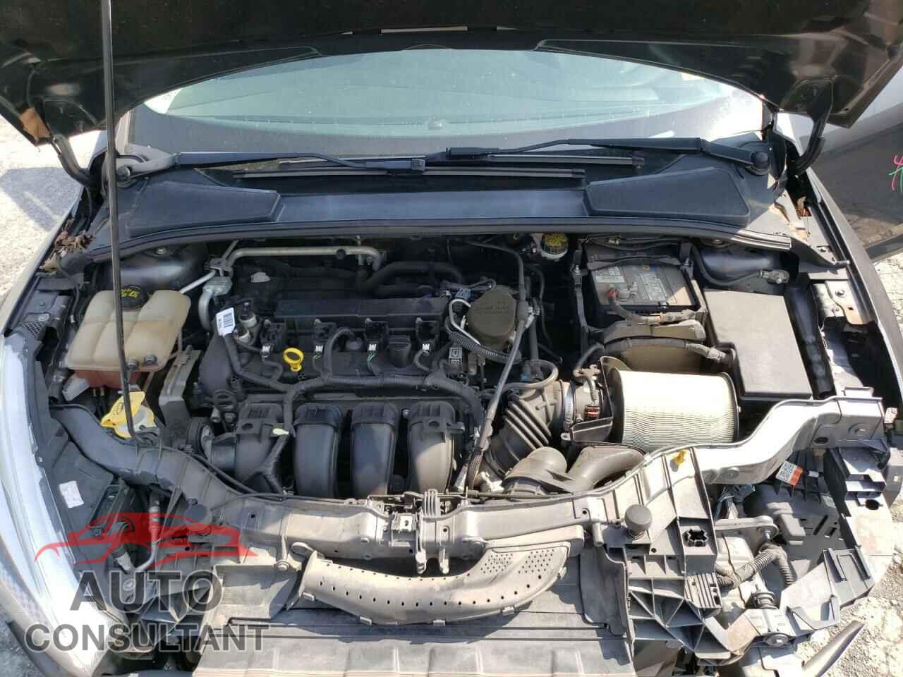 FORD FOCUS 2016 - 1FADP3K21GL232926