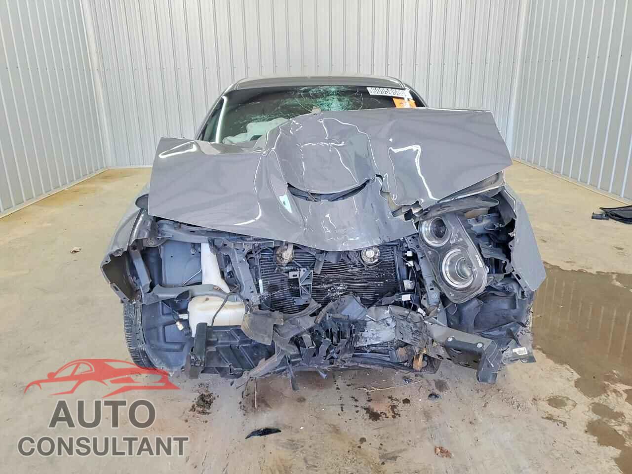 DODGE CHALLENGER 2019 - 2C3CDZJG3KH624993