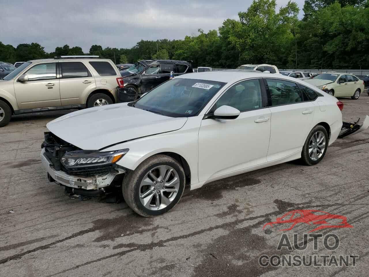 HONDA ACCORD 2019 - 1HGCV1F11KA092495