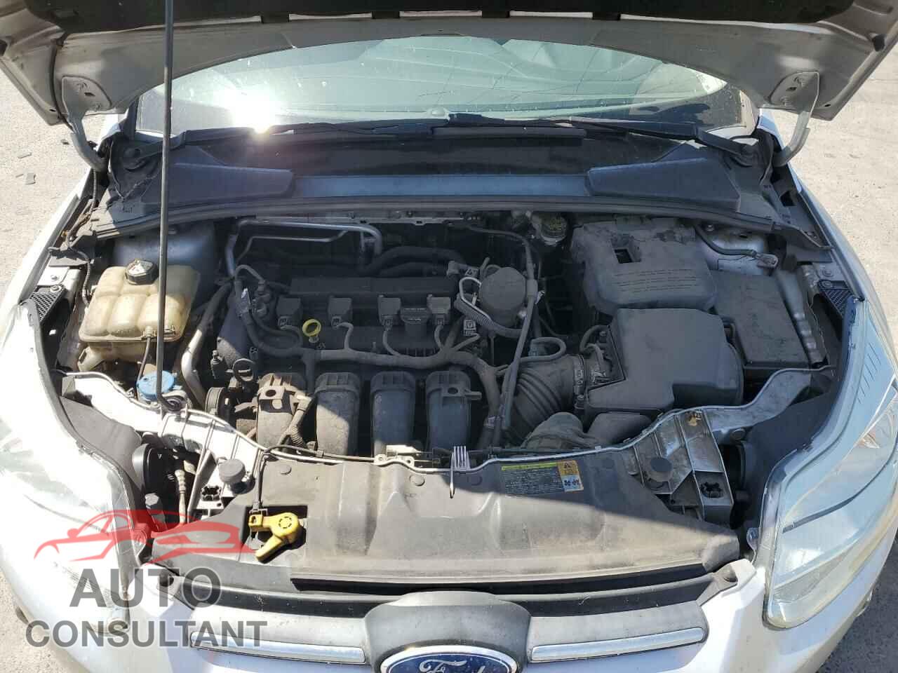 FORD FOCUS 2012 - 1FAHP3F29CL321651