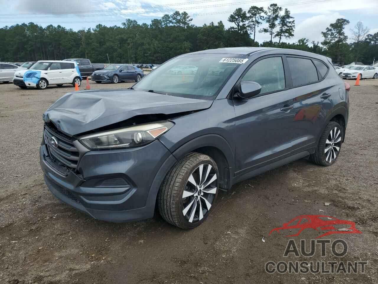 HYUNDAI TUCSON 2016 - KM8J23A49GU239448