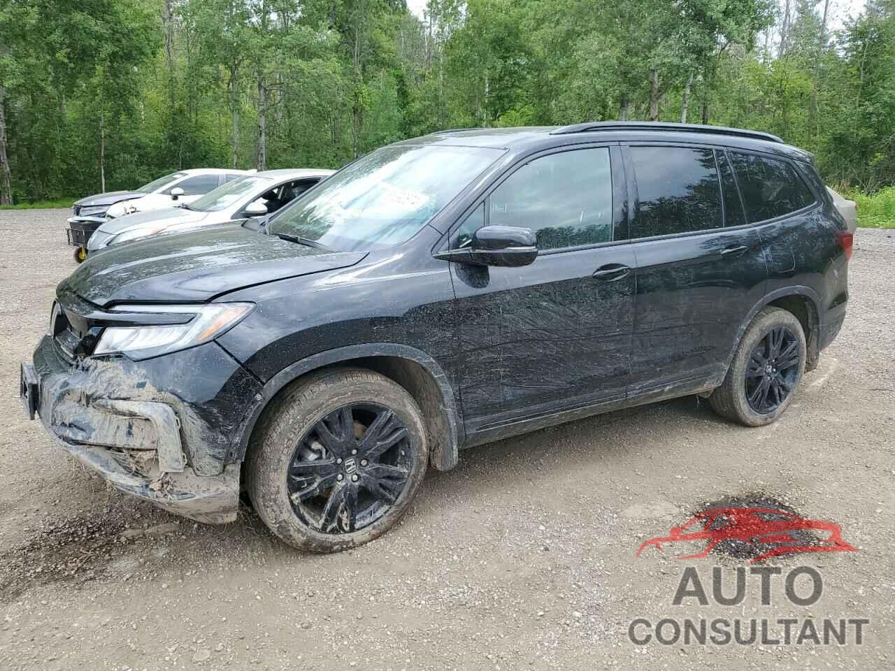 HONDA PILOT 2019 - 5FNYF6H00KB508434