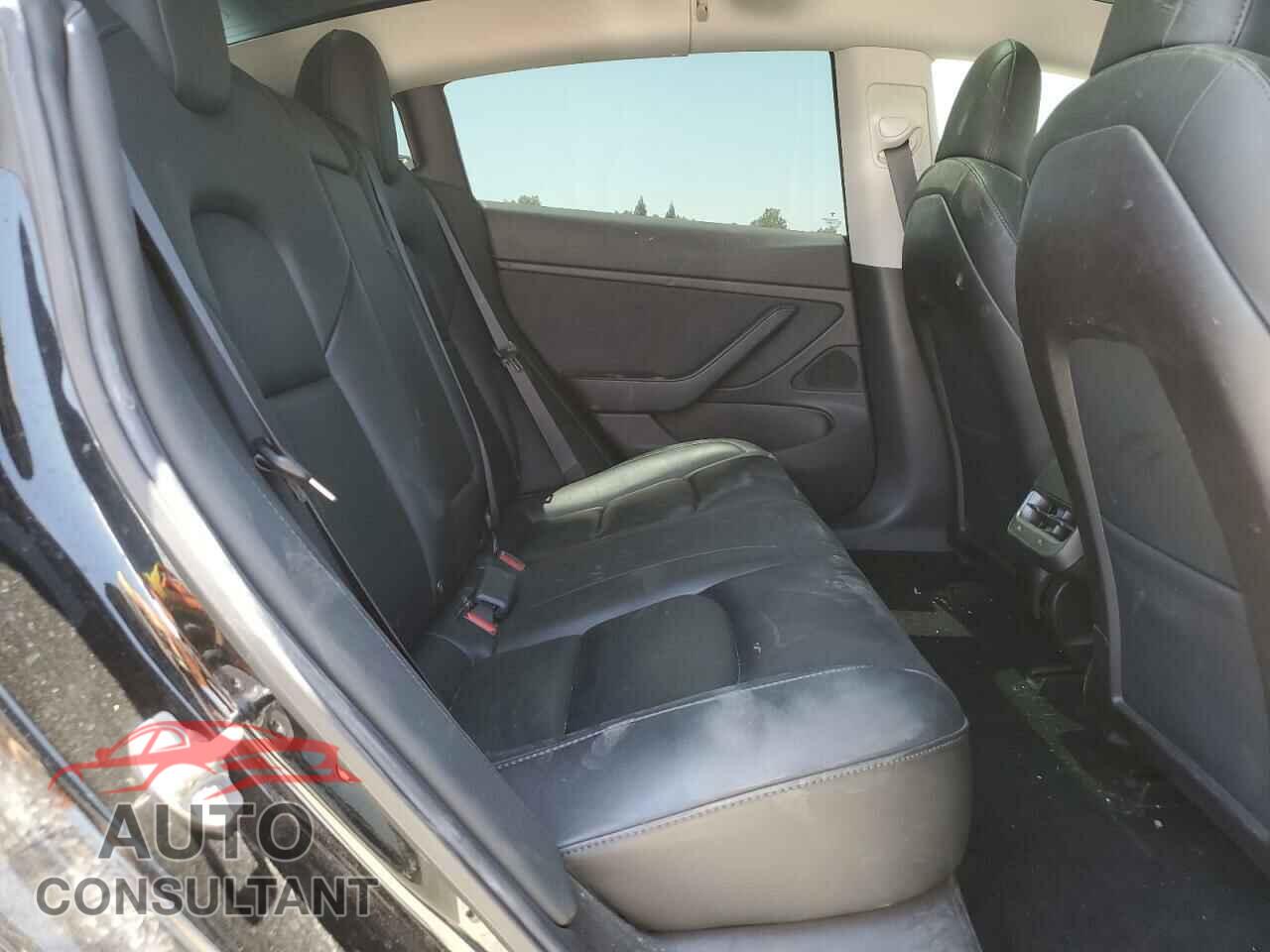 TESLA MODEL 3 2019 - 5YJ3E1EB2KF388710