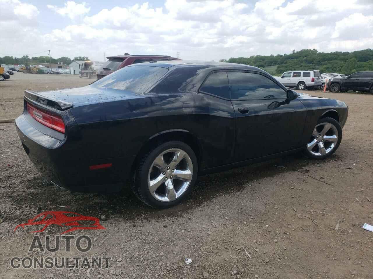 DODGE CHALLENGER 2014 - 2C3CDYBTXEH139955
