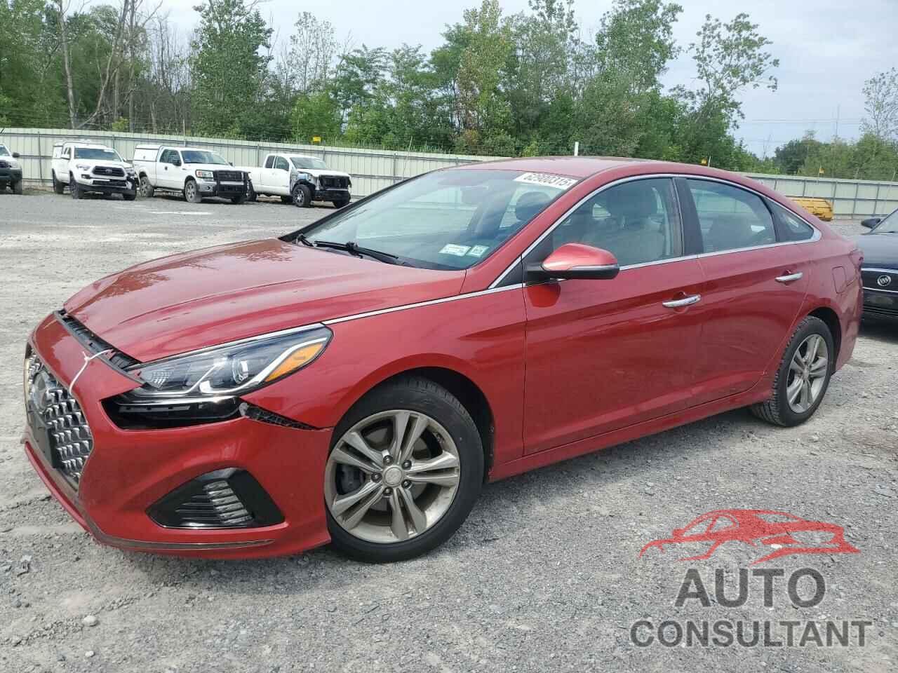 HYUNDAI SONATA 2019 - 5NPE34AF2KH750139