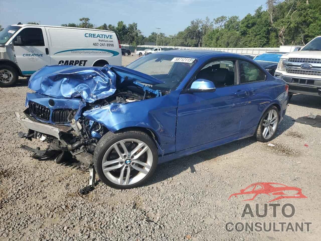 BMW 2 SERIES 2014 - WBA1F5C56EV246159