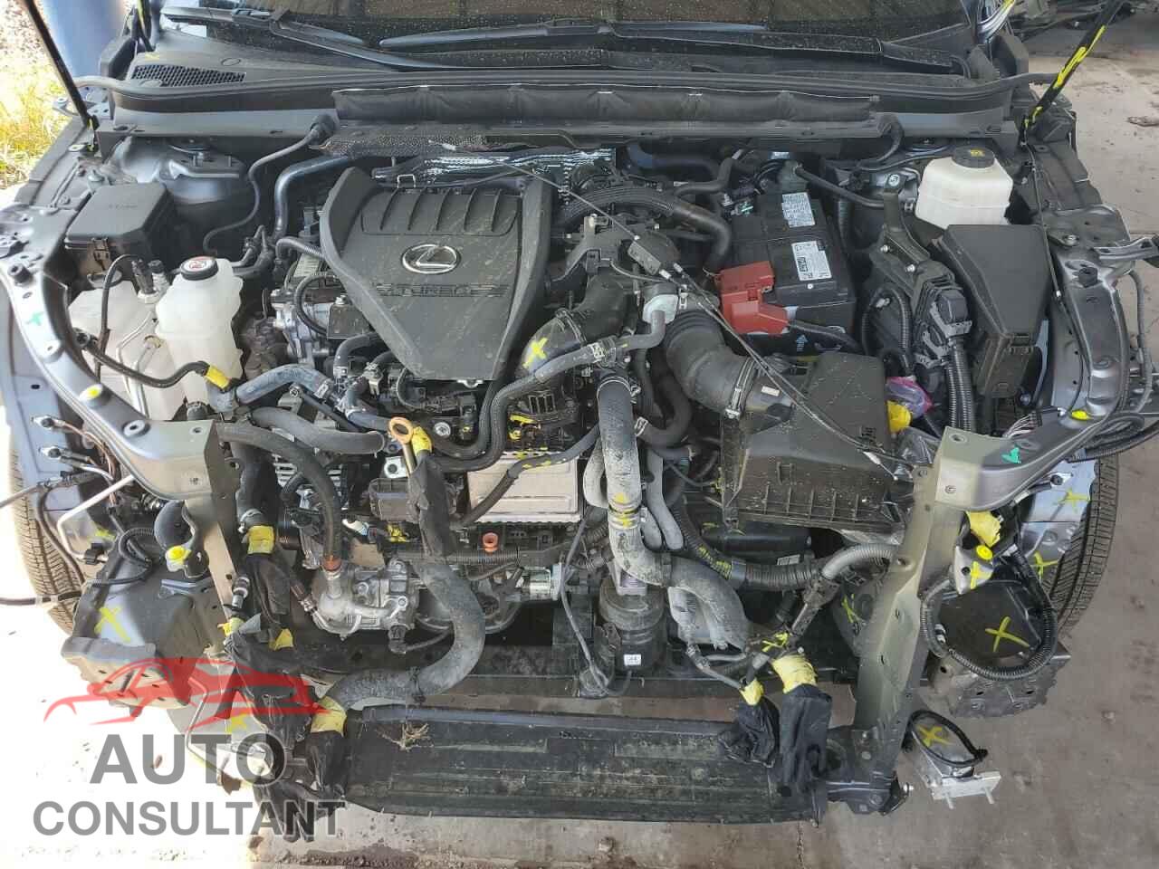 LEXUS RX350 2023 - 2T2BAMBA2PC006476