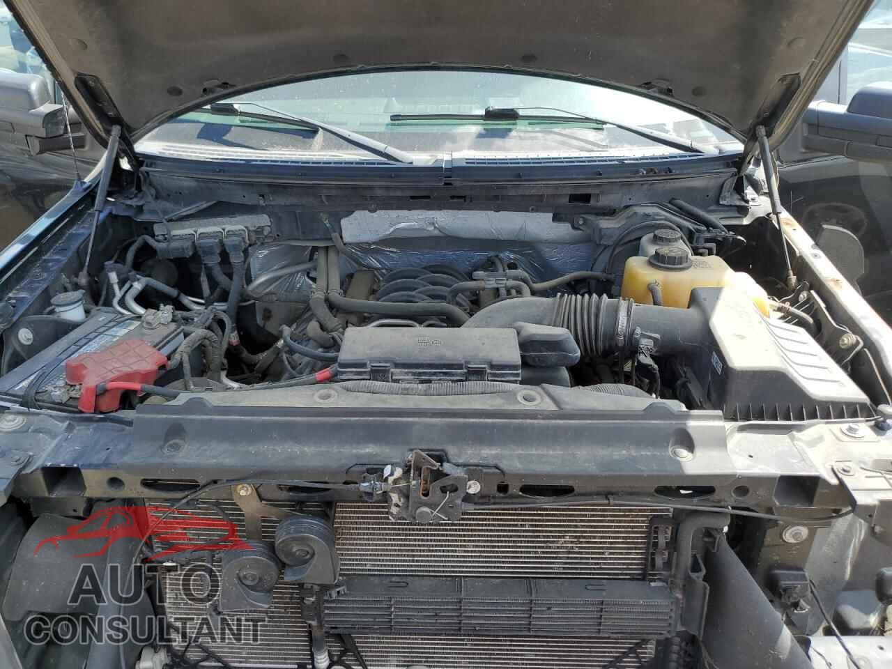 FORD F-150 2013 - 1FTFX1EF7DFD16491