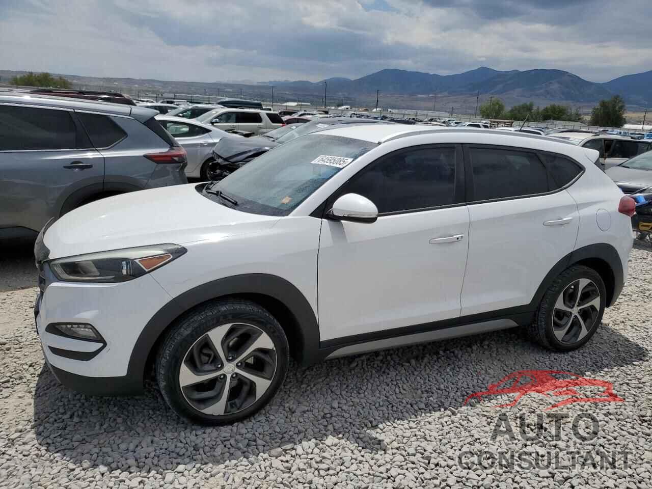 HYUNDAI TUCSON 2017 - KM8J3CA22HU358553