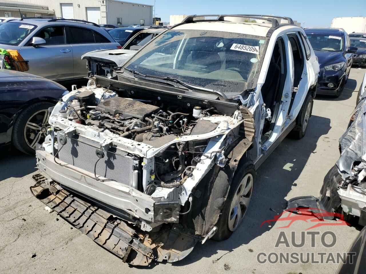 TOYOTA RAV4 2019 - 2T3H1RFV5KW017673