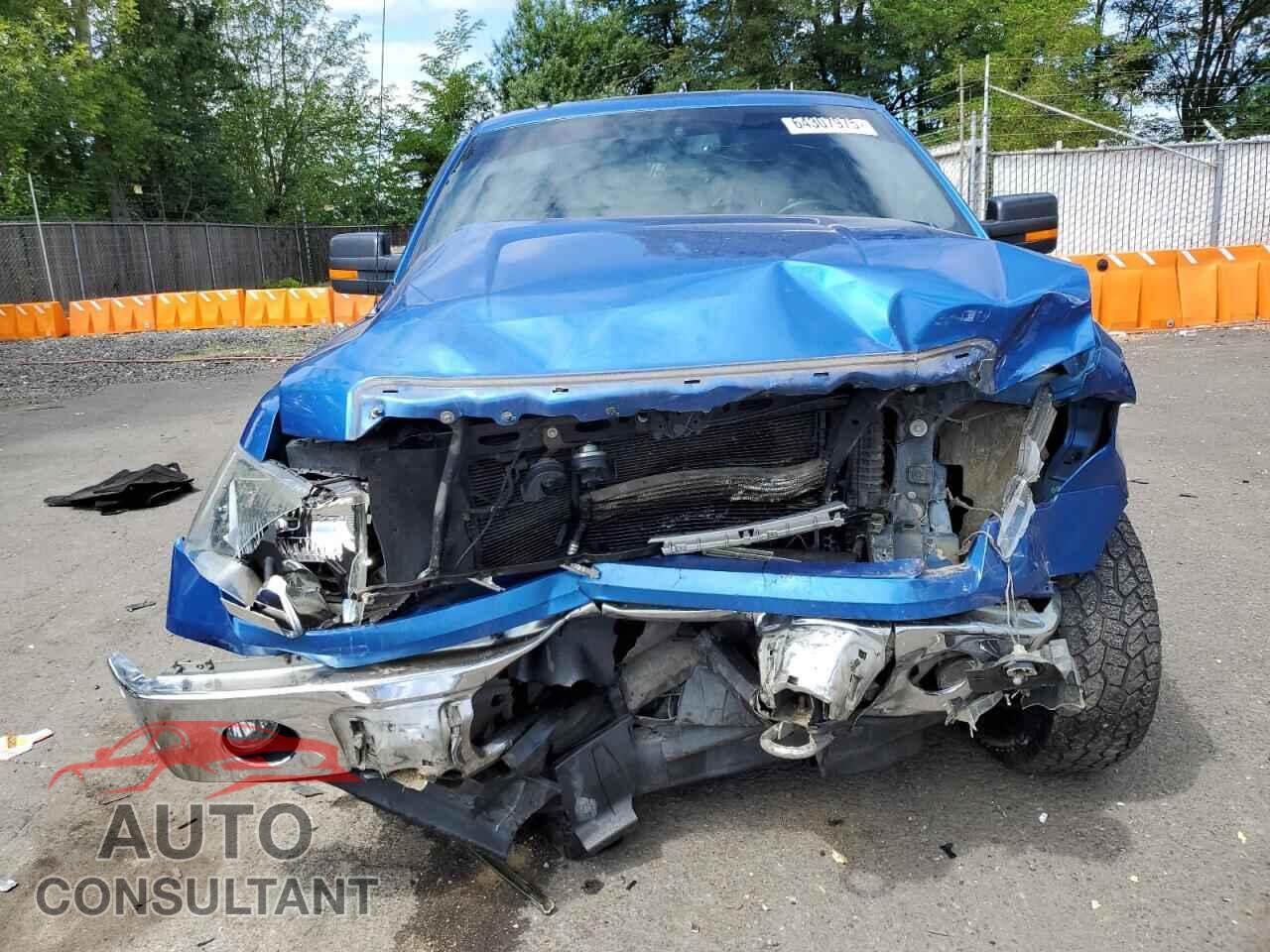 FORD F-150 2014 - 1FTFX1EF1EFC10166