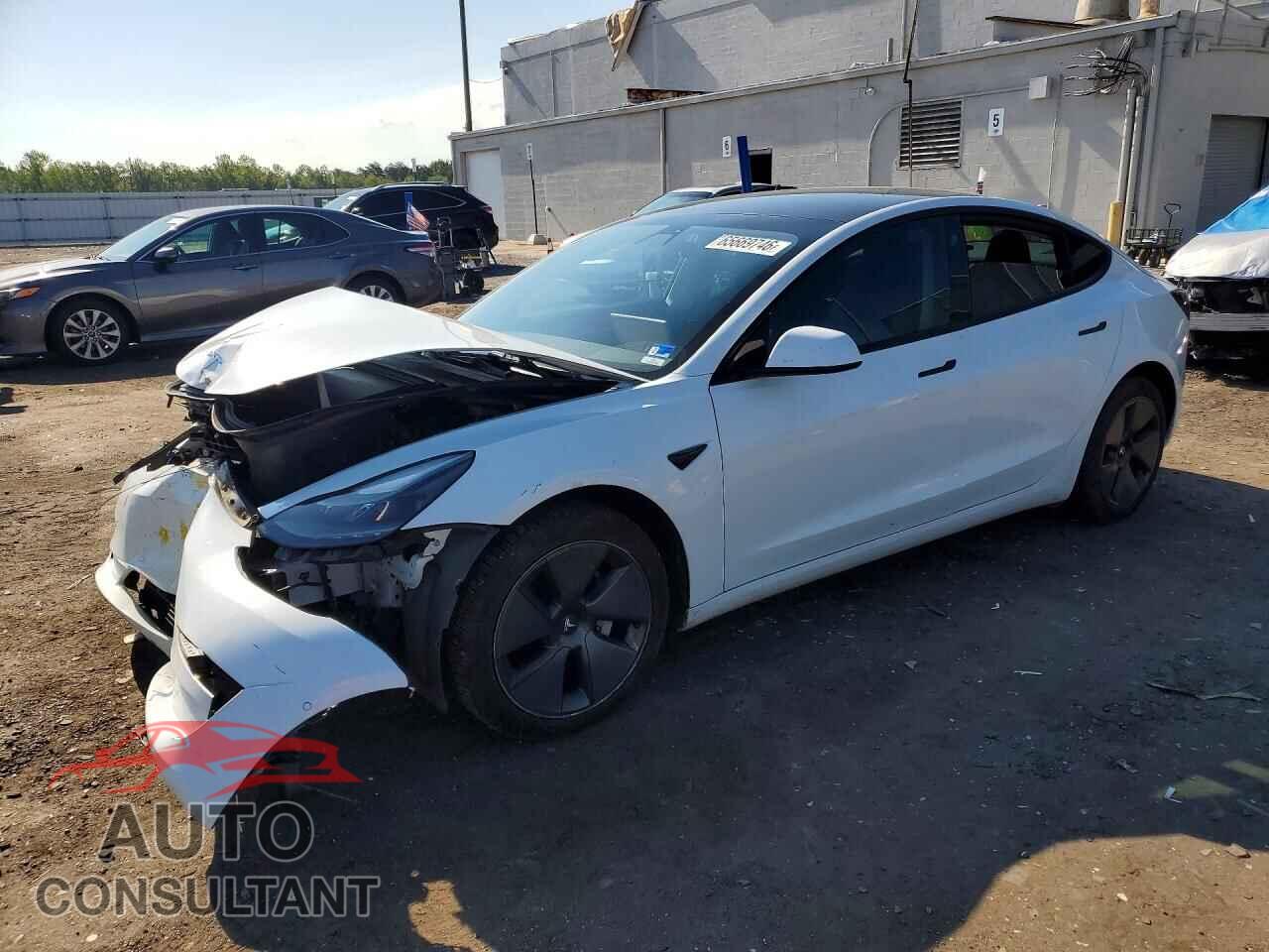 TESLA MODEL 3 2021 - 5YJ3E1EA3MF045401