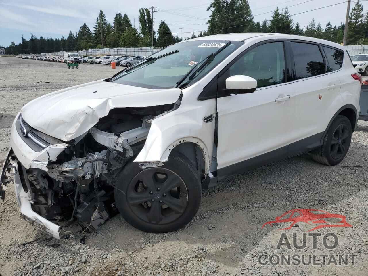 FORD ESCAPE 2013 - 1FMCU0GX1DUA59458