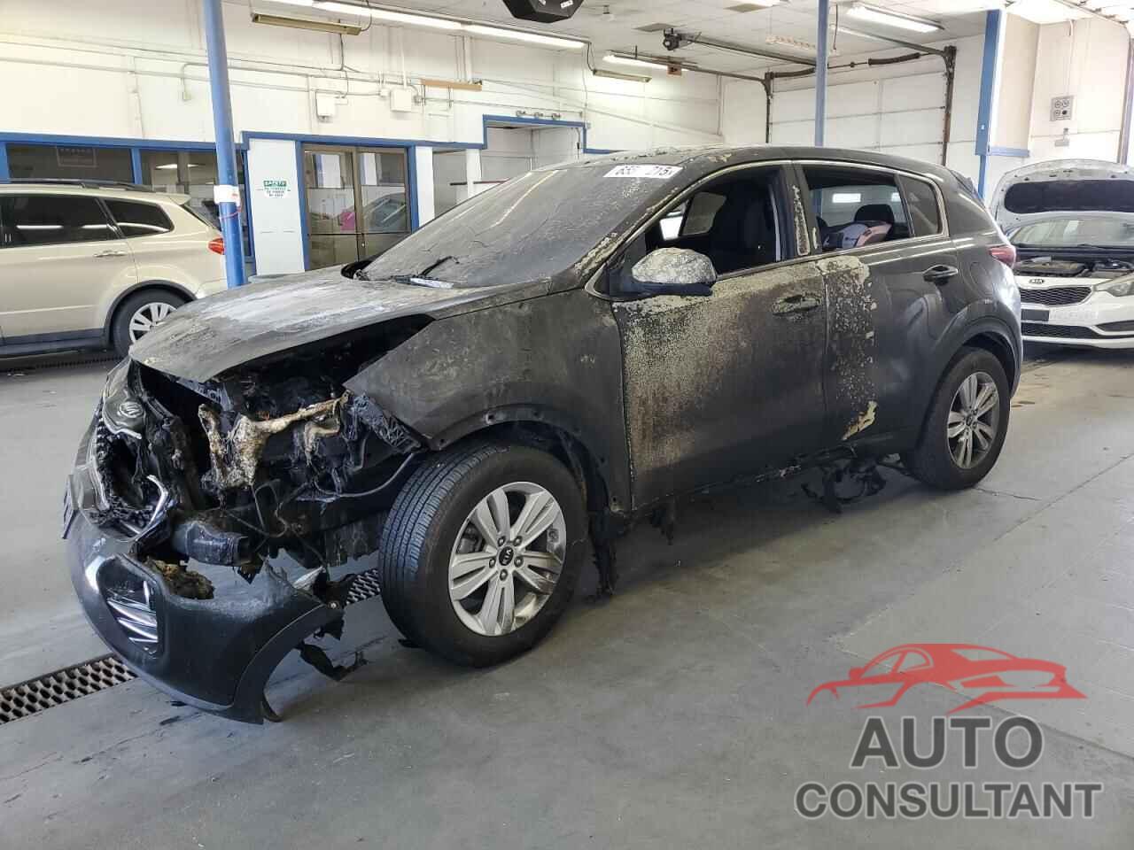 KIA SPORTAGE 2018 - KNDPMCAC4J7377257