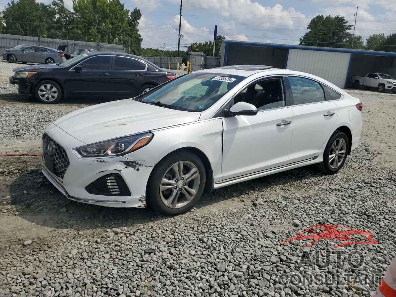 HYUNDAI SONATA 2019 - 5NPE34AF7KH734096