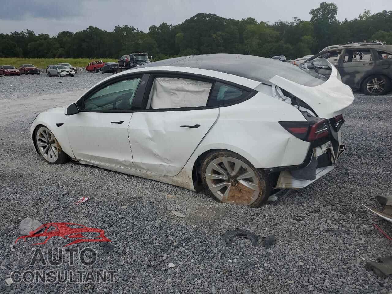TESLA MODEL 3 2021 - 5YJ3E1EA7MF058135