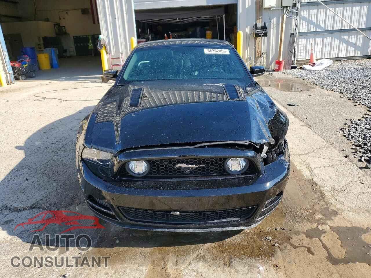 FORD MUSTANG 2013 - 1ZVBP8CF7D5226044