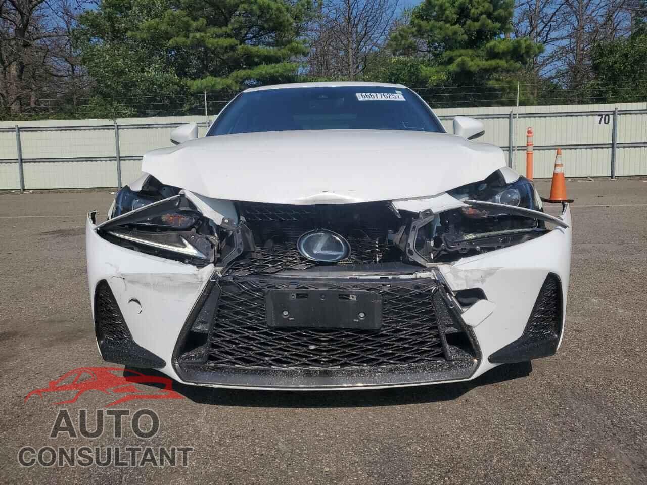LEXUS IS 2019 - JTHC81D20K5037223
