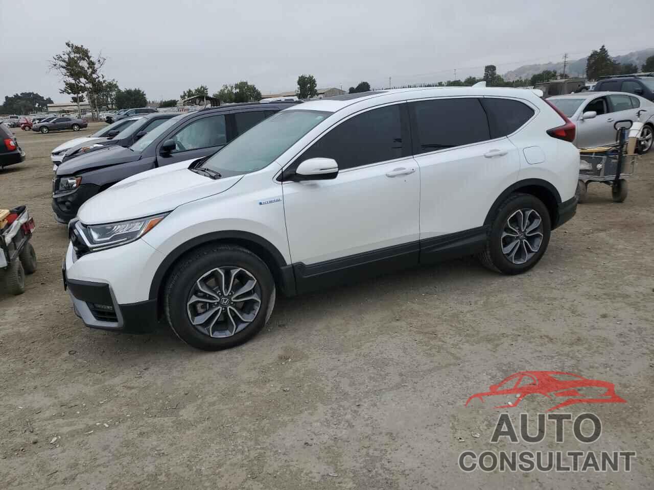 HONDA CRV 2022 - 5J6RT6H51NL015480