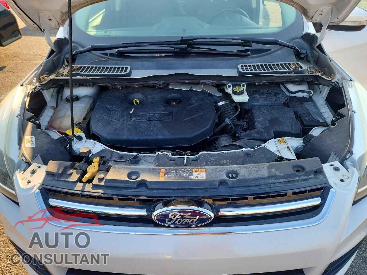 FORD ESCAPE 2013 - 1FMCU9J95DUA04462