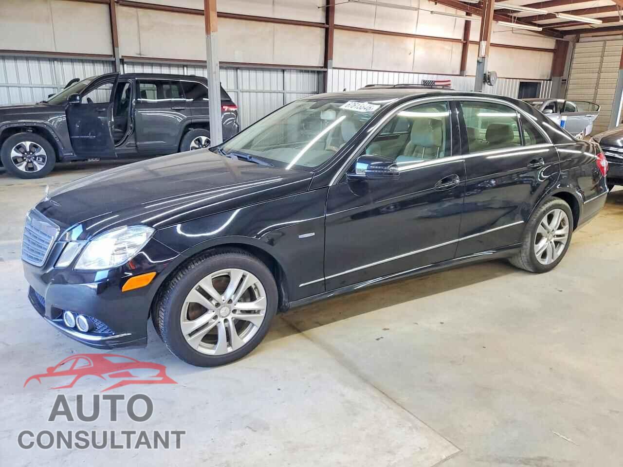 MERCEDES-BENZ E-CLASS 2011 - WDDHF2EBXBA495074