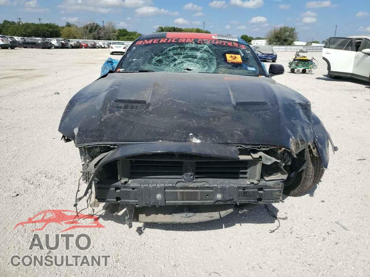 FORD MUSTANG 2019 - 1FA6P8CF8K5203413