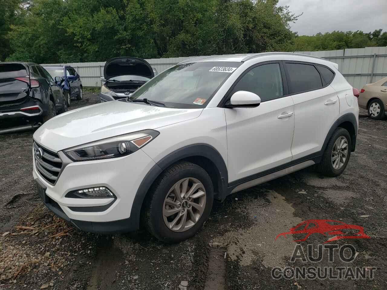 HYUNDAI TUCSON 2017 - KM8J3CA47HU566168