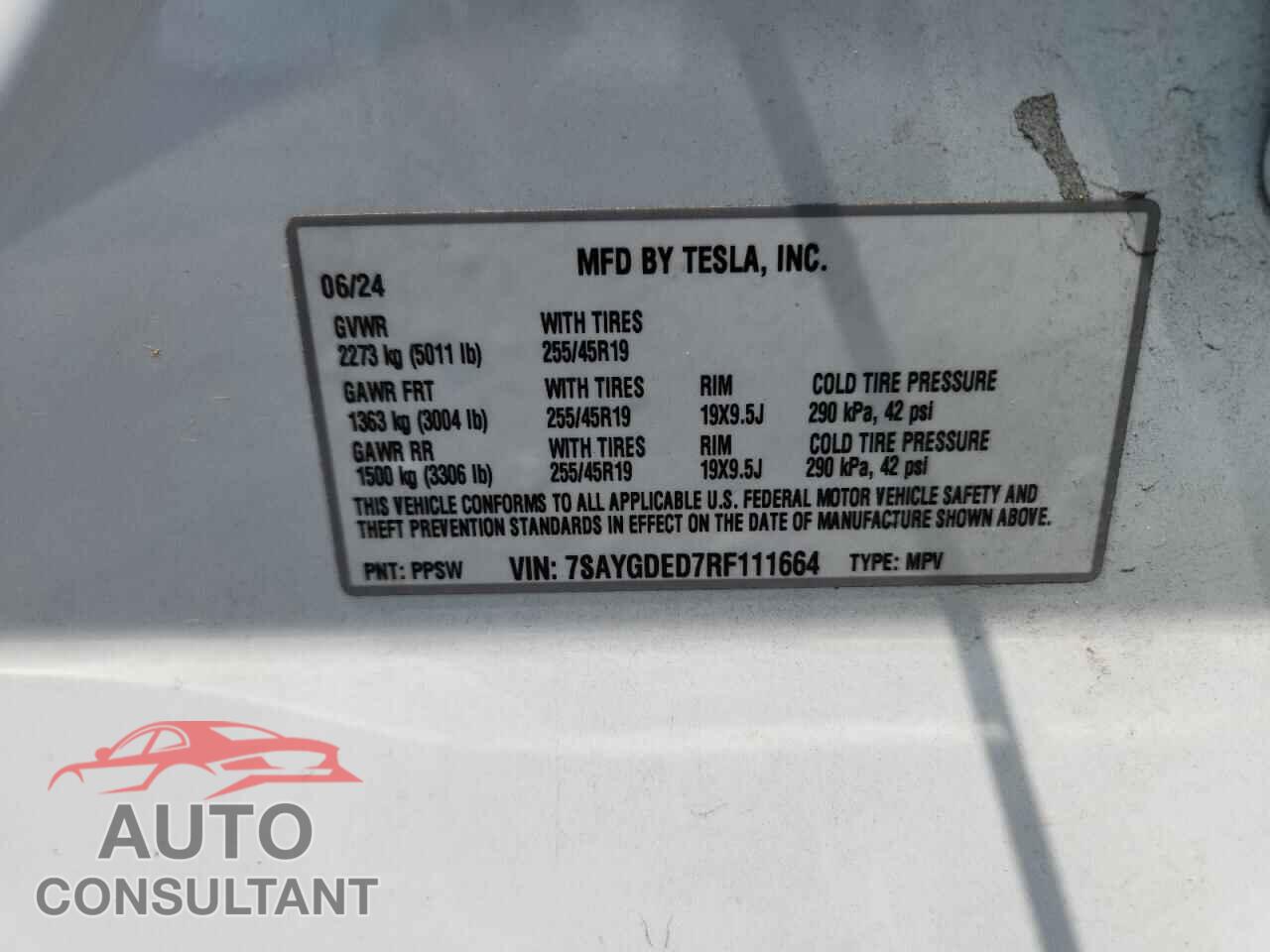 TESLA MODEL Y 2024 - 7SAYGDED7RF111664