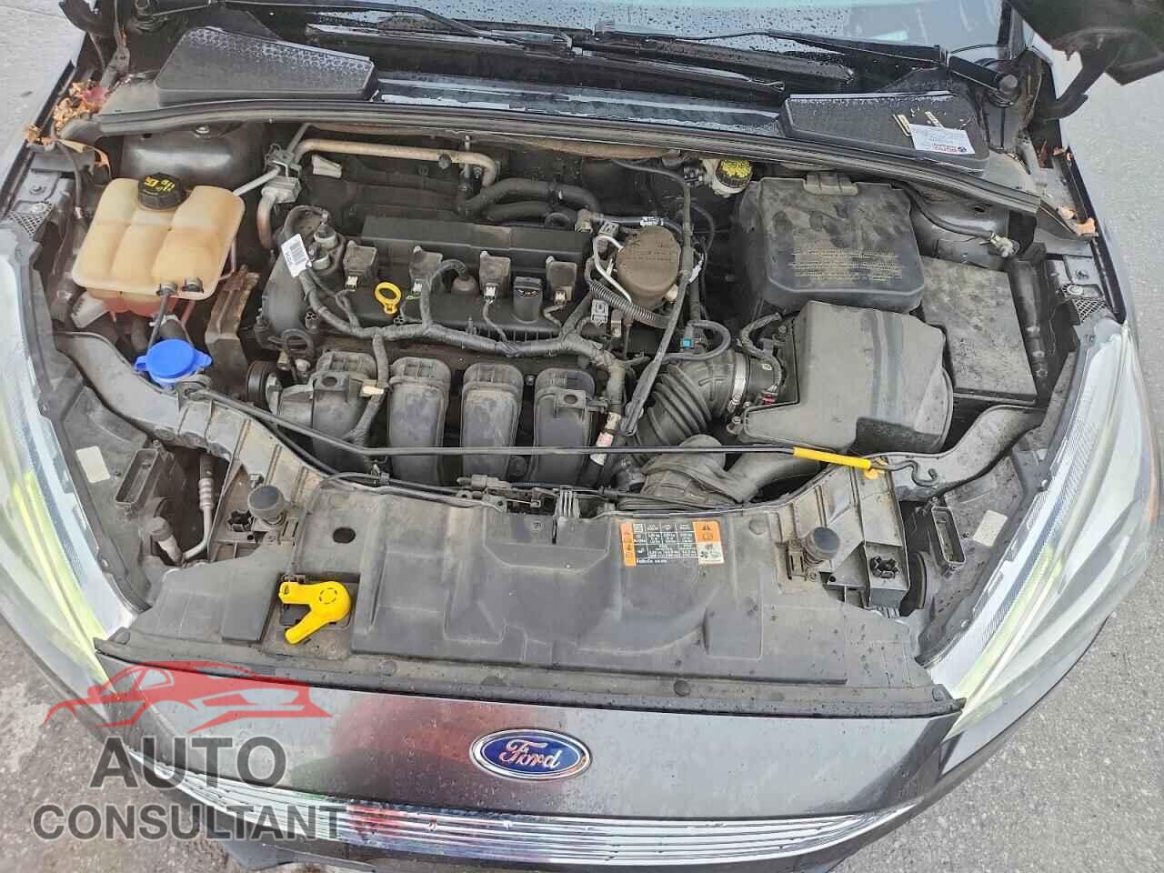 FORD FOCUS 2016 - 1FADP3J25GL249567