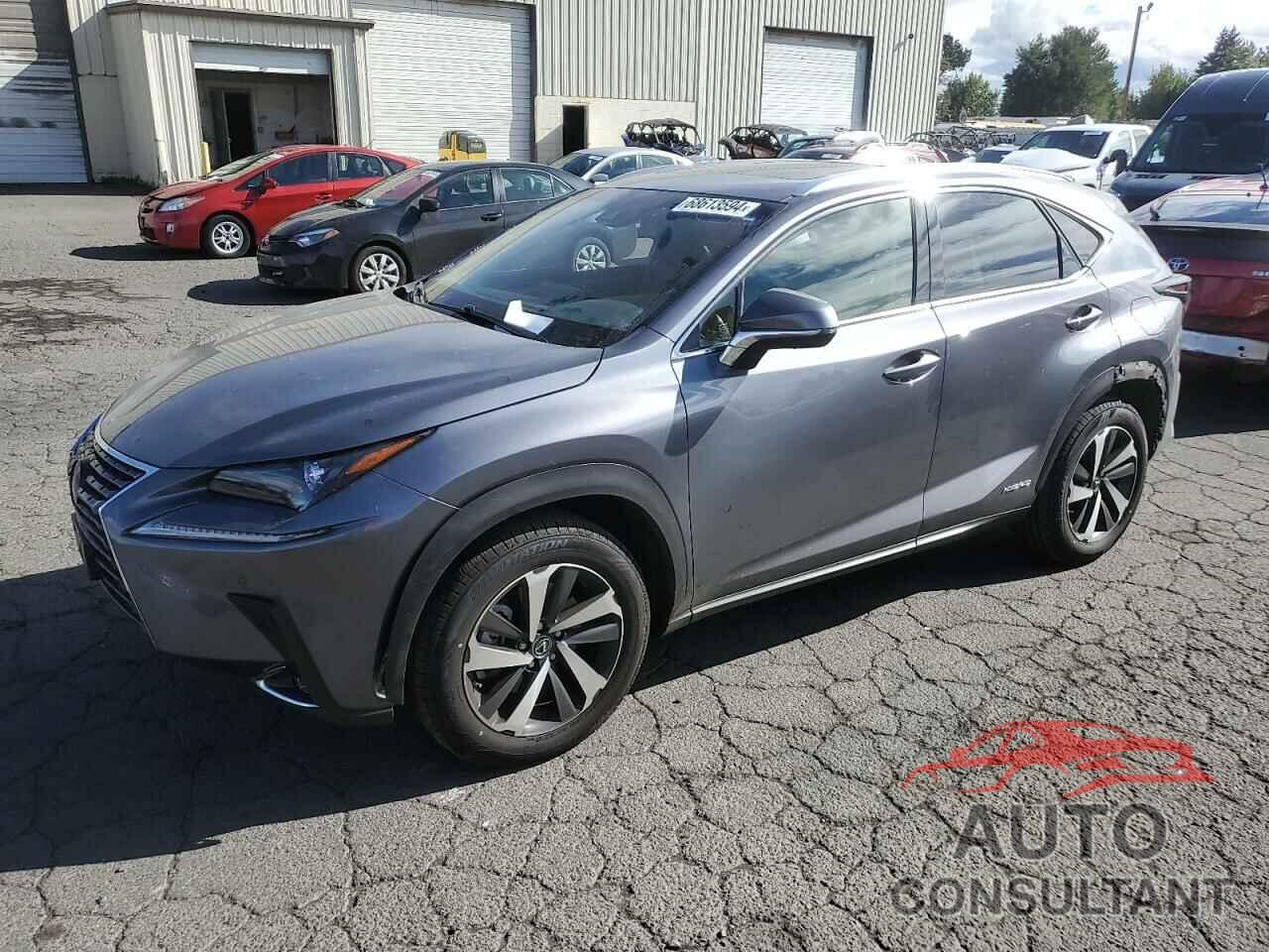 LEXUS NX 2019 - JTJBJRBZ7K2124924