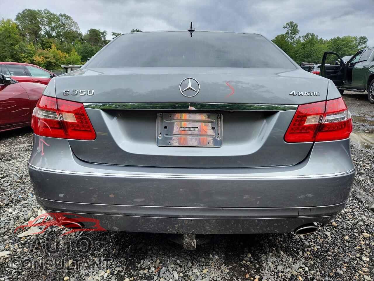 MERCEDES-BENZ E-CLASS 2010 - WDDHF8HB9AA075092