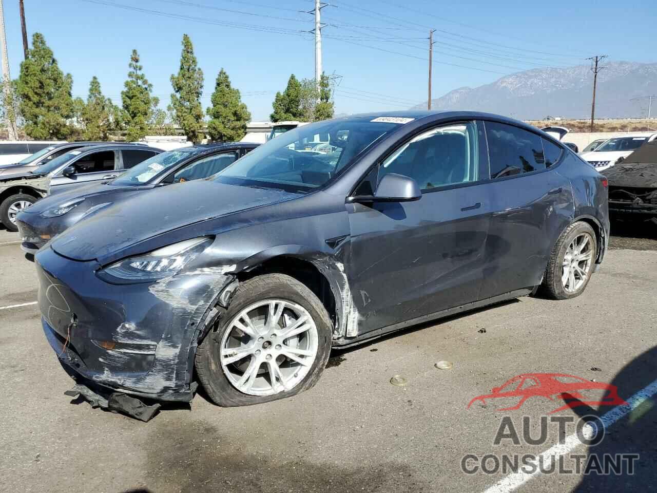 TESLA MODEL Y 2021 - 5YJYGDEE4MF146547