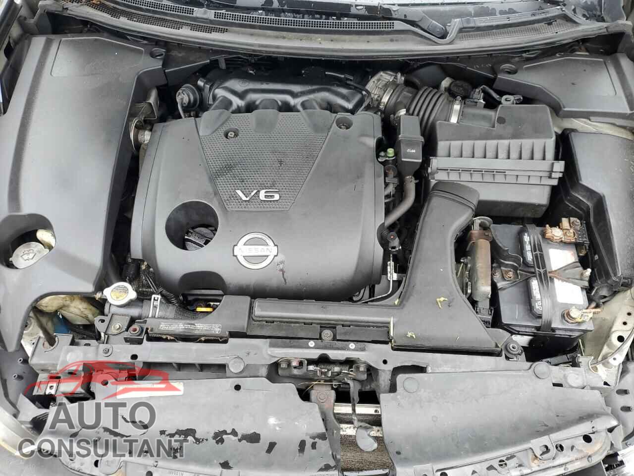 NISSAN MAXIMA 2009 - 1N4AA51E89C838772