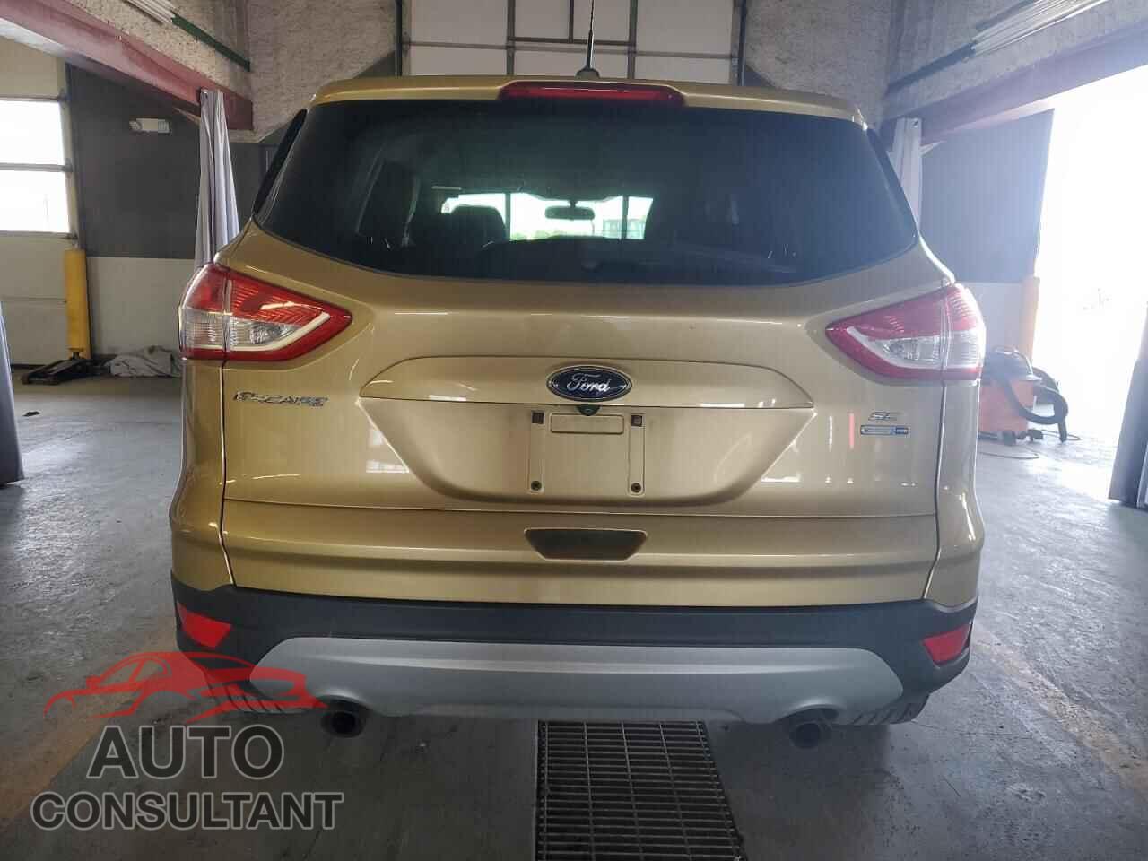 FORD ESCAPE 2014 - 1FMCU9GX4EUC21752